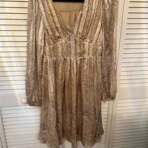 Chic Long Sleeve Paisley Dress